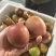爆香型台农红果紫香一号百香果芭乐味香浓酸甜百香果精品