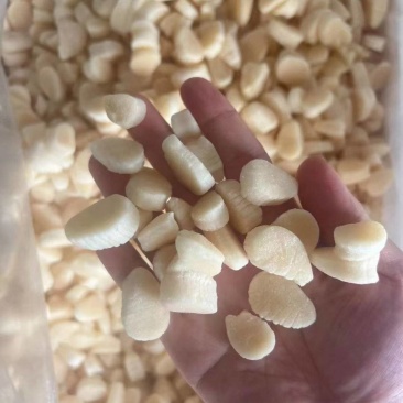 扇贝柱，价格便宜，品质好，货源充足，欢迎咨询