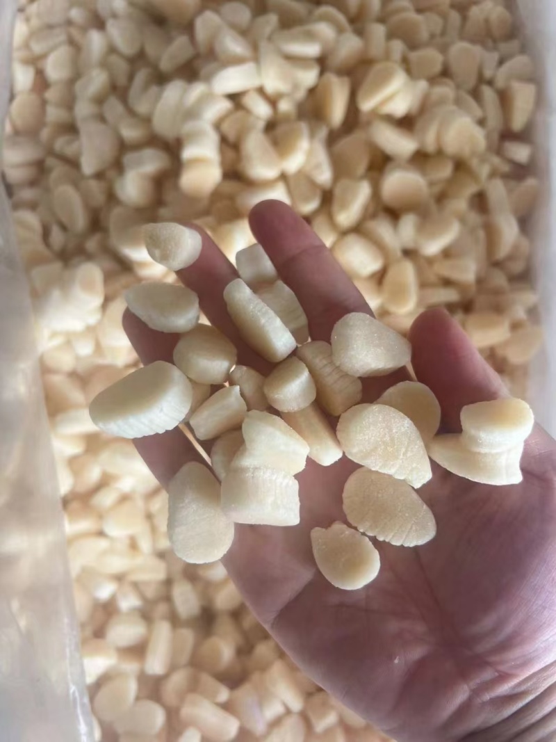 扇贝柱，价格便宜，品质好，货源充足，欢迎咨询