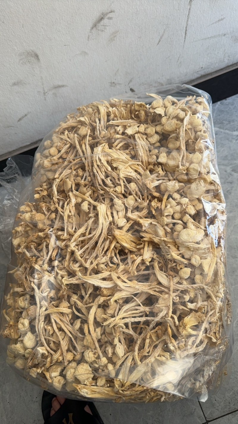 海鲜菇、新货、干度、颜色靓各种规格齐全、各种礼盒