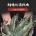 潮汕纯手工虾丸，潮汕特产，批发商用火锅麻辣烫食材