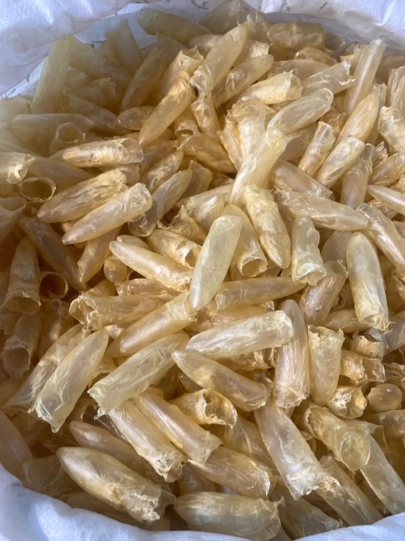 黄花鱼胶筒咸水鱼胶花胶批发零售