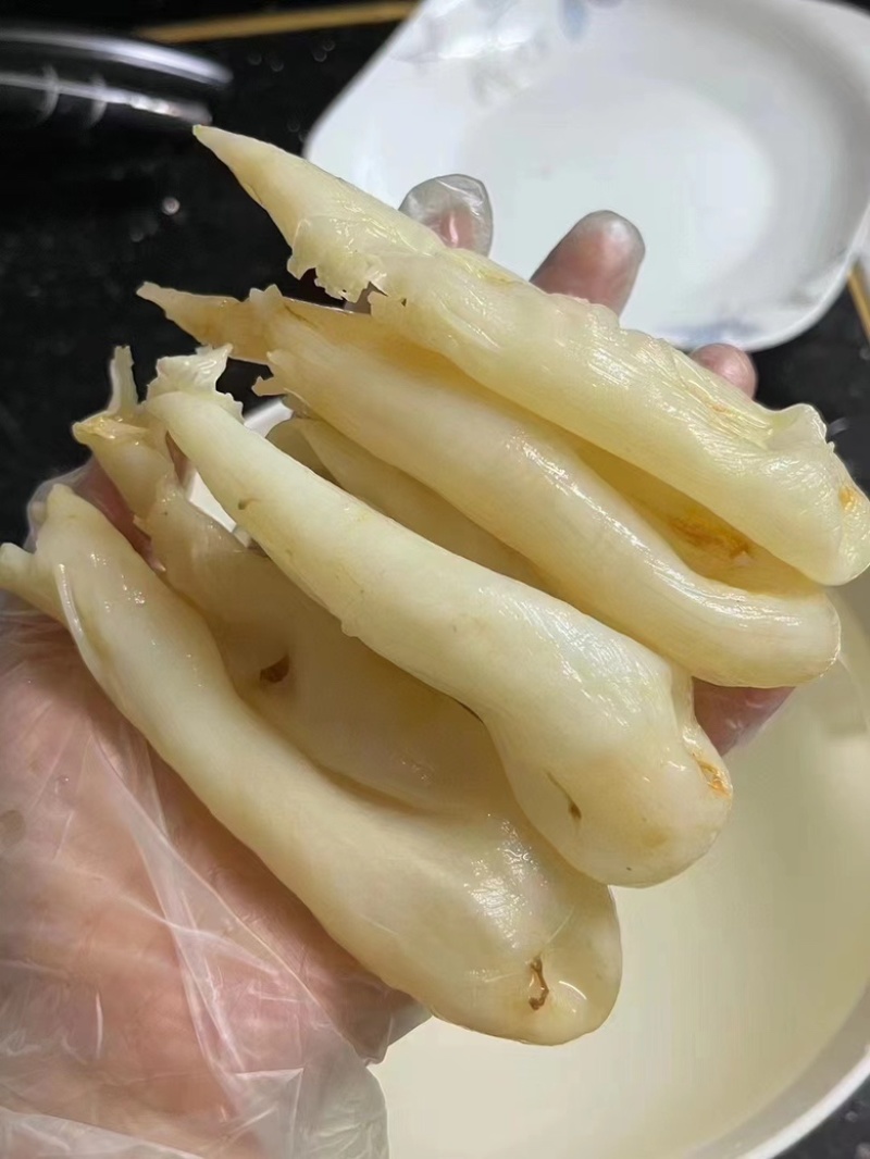 黄花鱼胶筒咸水鱼胶花胶批发零售