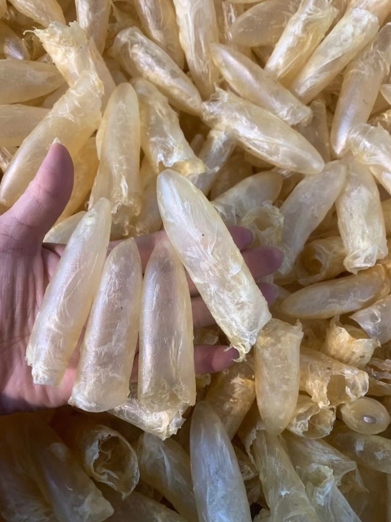 黄花鱼胶筒咸水鱼胶花胶批发零售