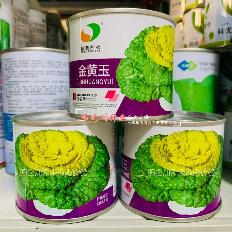 金黄玉腊月乌塌菜种子黄心乌种子特矮颗黄心乌塌菜种籽耐寒