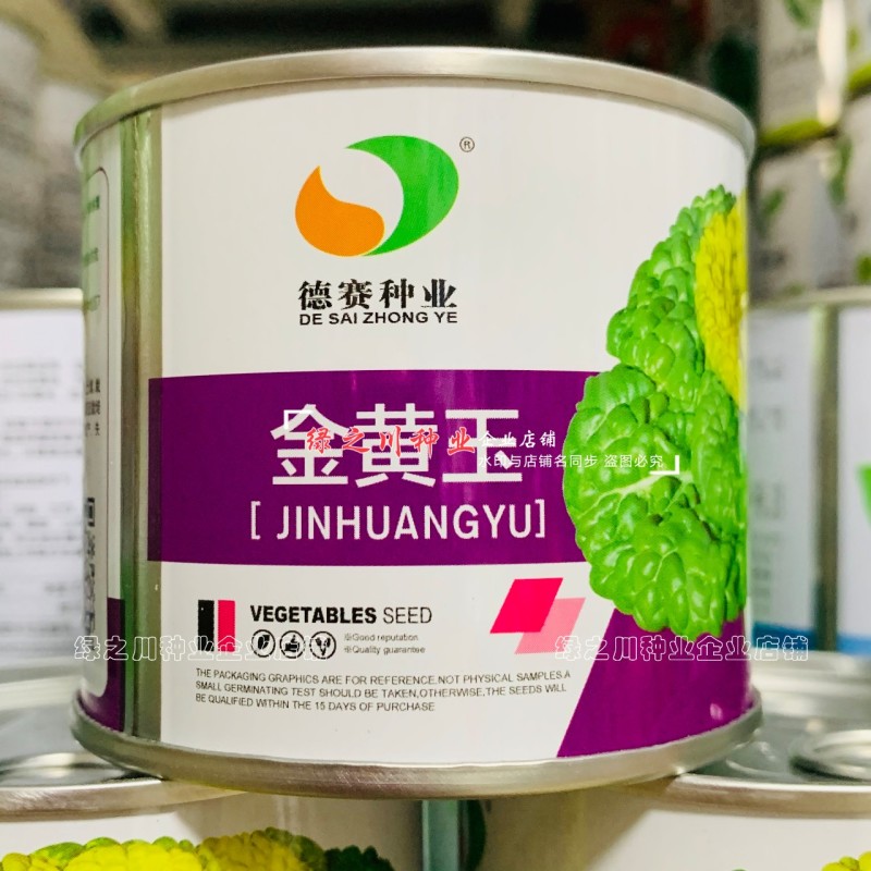 金黄玉腊月乌塌菜种子黄心乌种子特矮颗黄心乌塌菜种籽耐寒