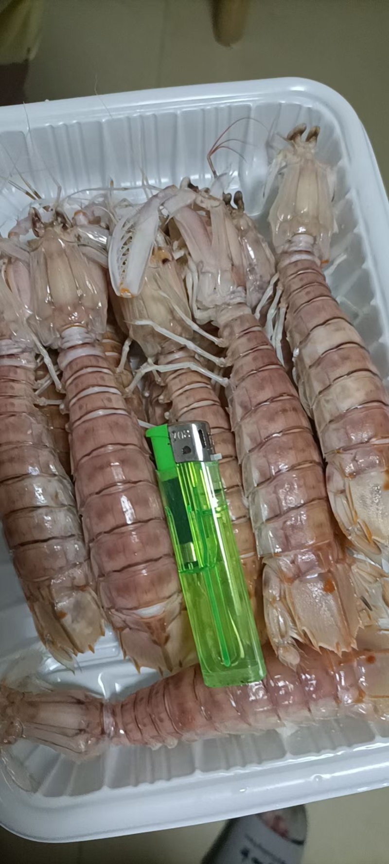 活煮皮皮虾，虾蛄，肉虾，膏虾，一件也是批发价