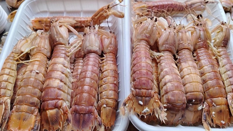 活煮皮皮虾，虾蛄，肉虾，膏虾，一件也是批发价