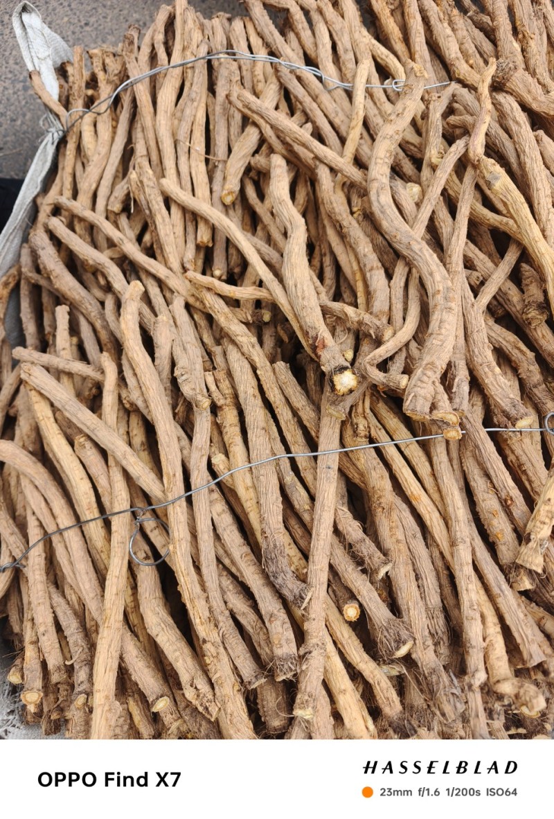 关防风个子原装通货。干度好，质量好，白净，无硫，自然晾晒