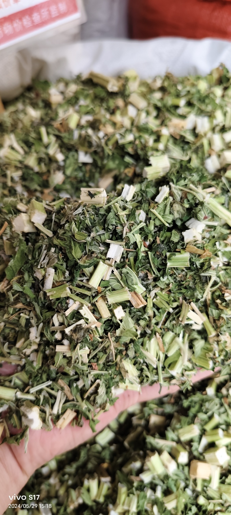 益母草
