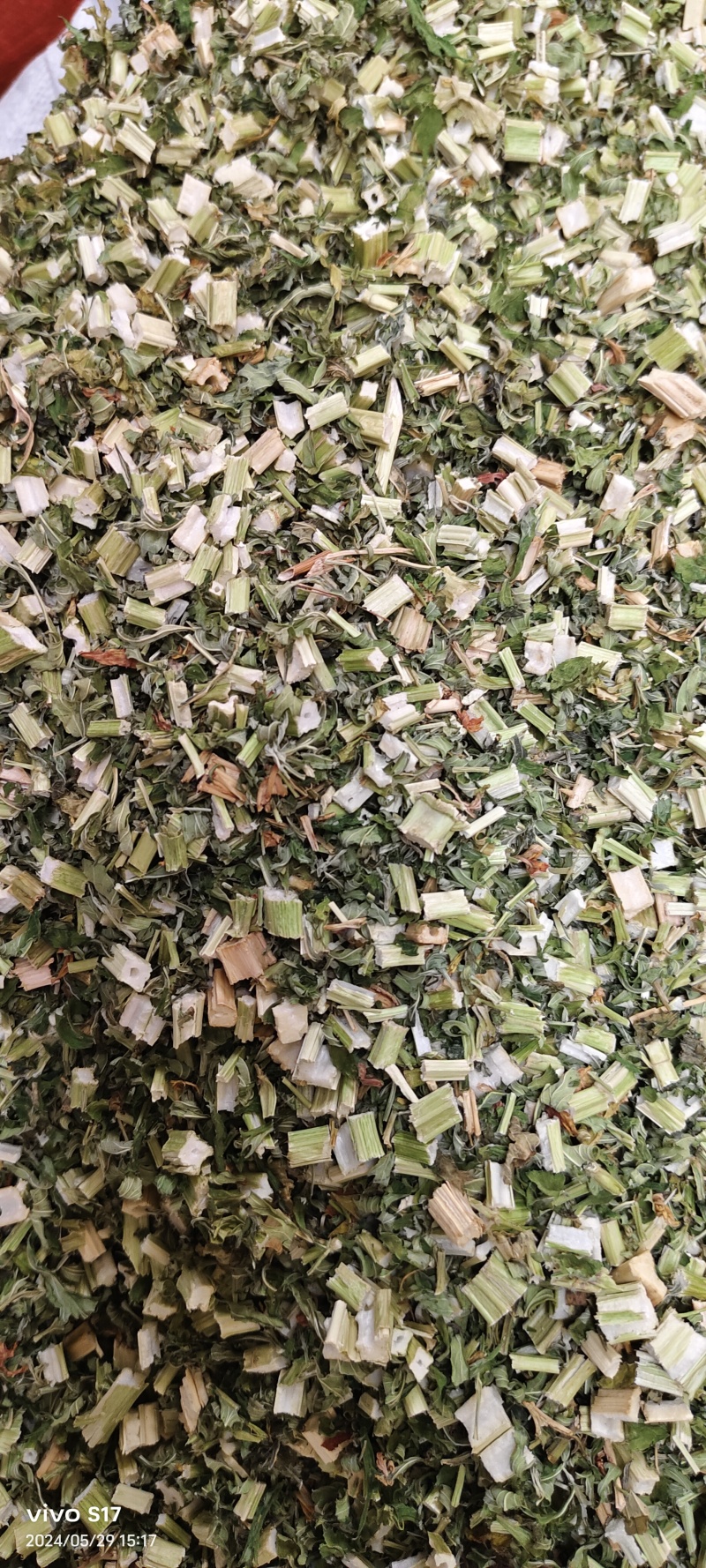 益母草