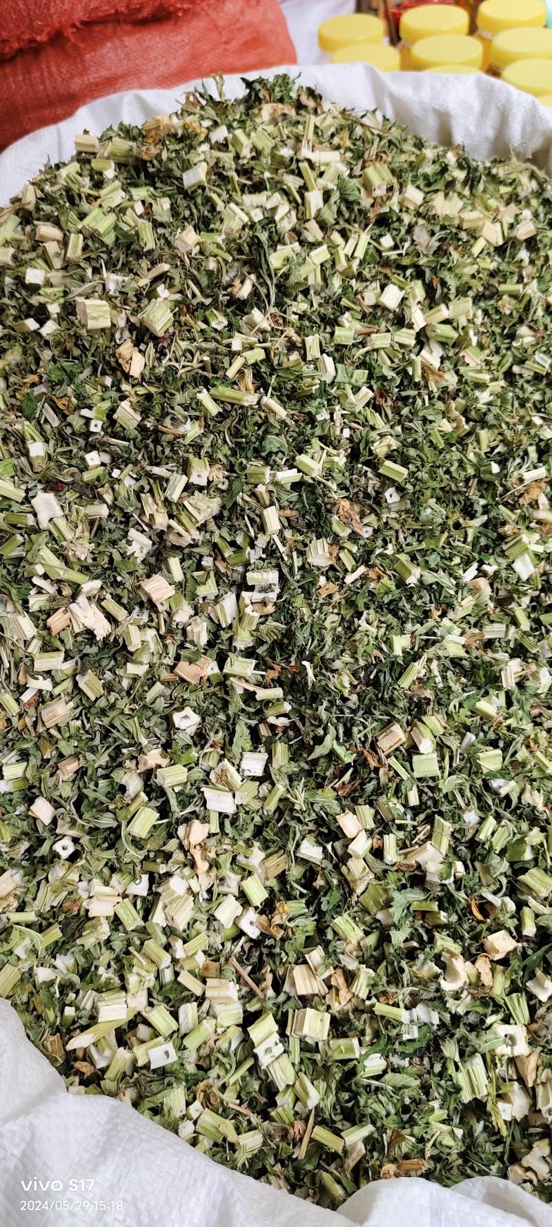 益母草