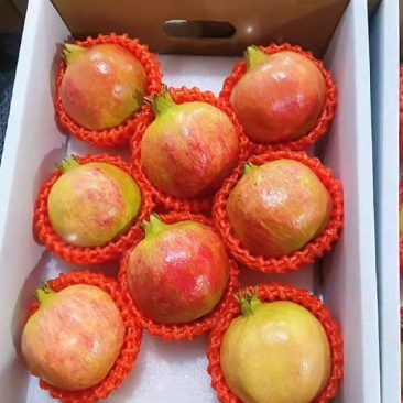 大量上市欢迎来谈