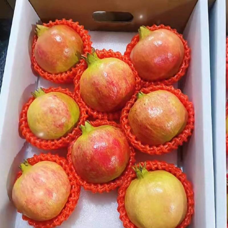 大量上市欢迎来谈