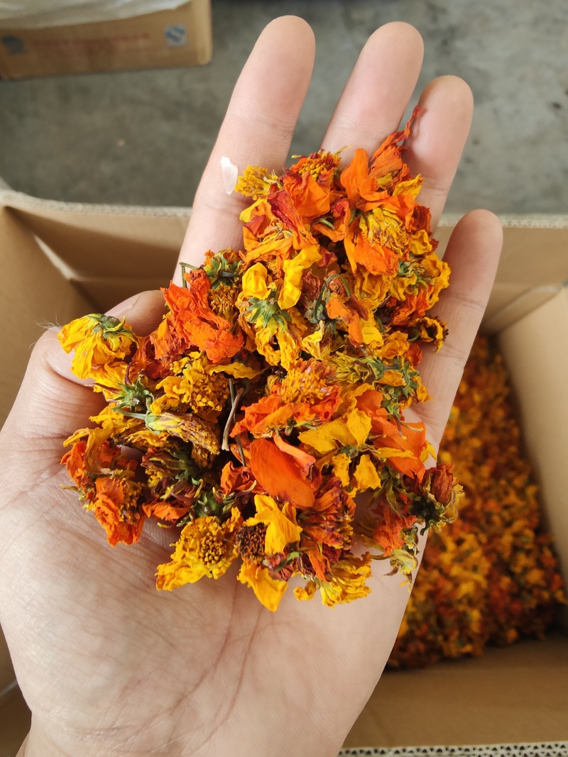 新疆天山高海拔冰菊（红菊货源充足保质保量欢迎电话联系