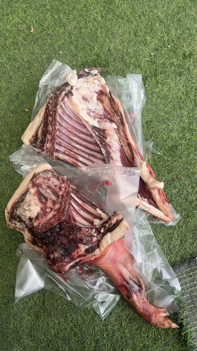 藏香猪跑山猪肉肠腊肉