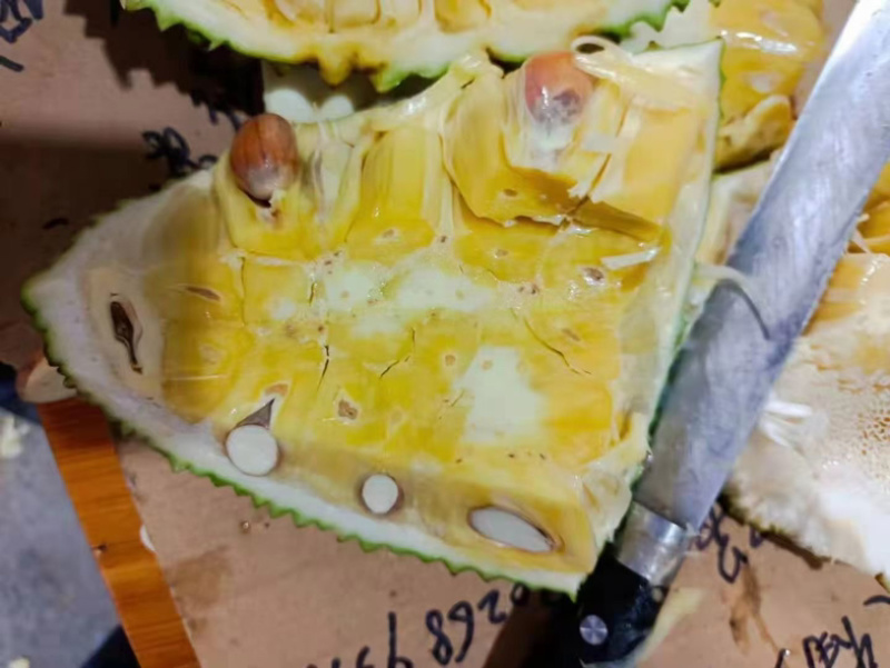 广东菠萝蜜大量上市中珍珠菠萝蜜