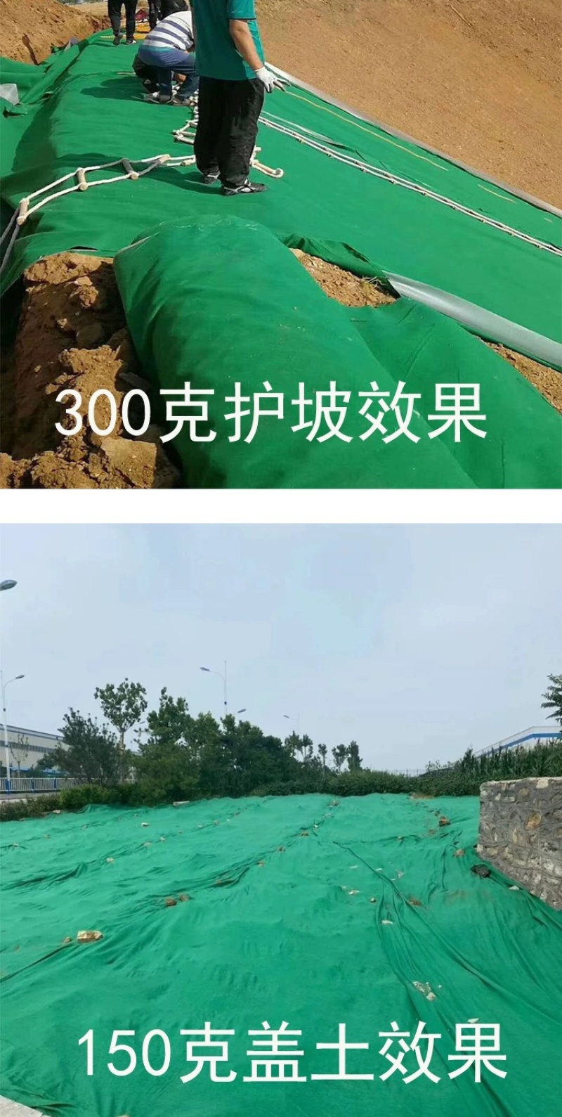 【土工布】绿色毛毡防尘工程布园林绿化树木防寒保湿环保家具