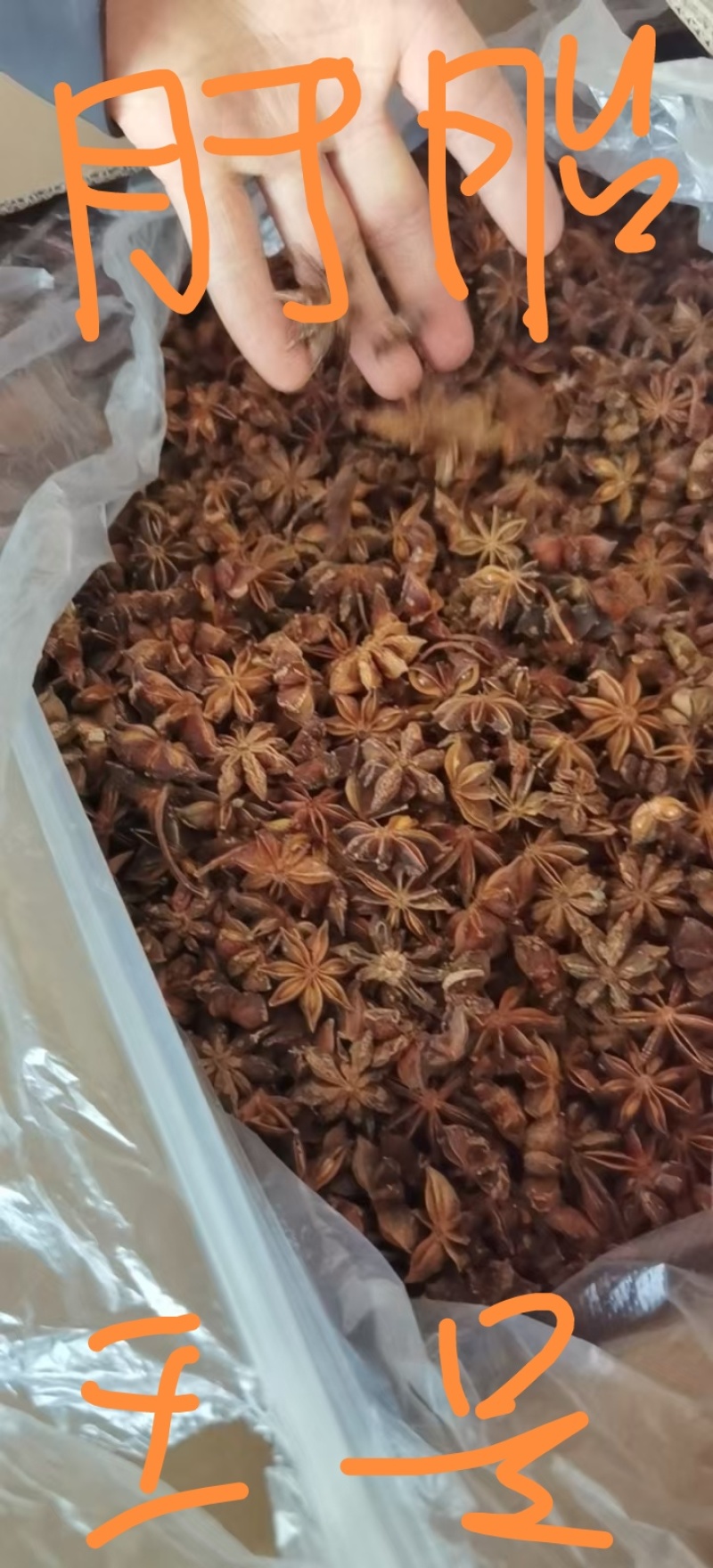 广西无硫大红八角，源头厂家，货源充足，品质保证，价格实惠
