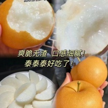 秋月梨。黄金梨丰水圆黄梨一手货源。货源充足。产地代办欢迎