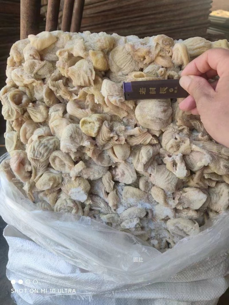 【熟食鸡嗉子】大肉食圆肚（八成熟）