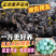 乐山芦花鸡苗包防疫包运输包成活率货到满意付款诚信服务