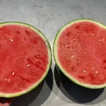 美都麒麟