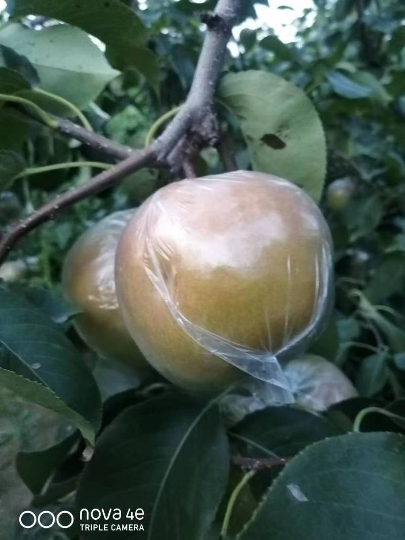 代收代发