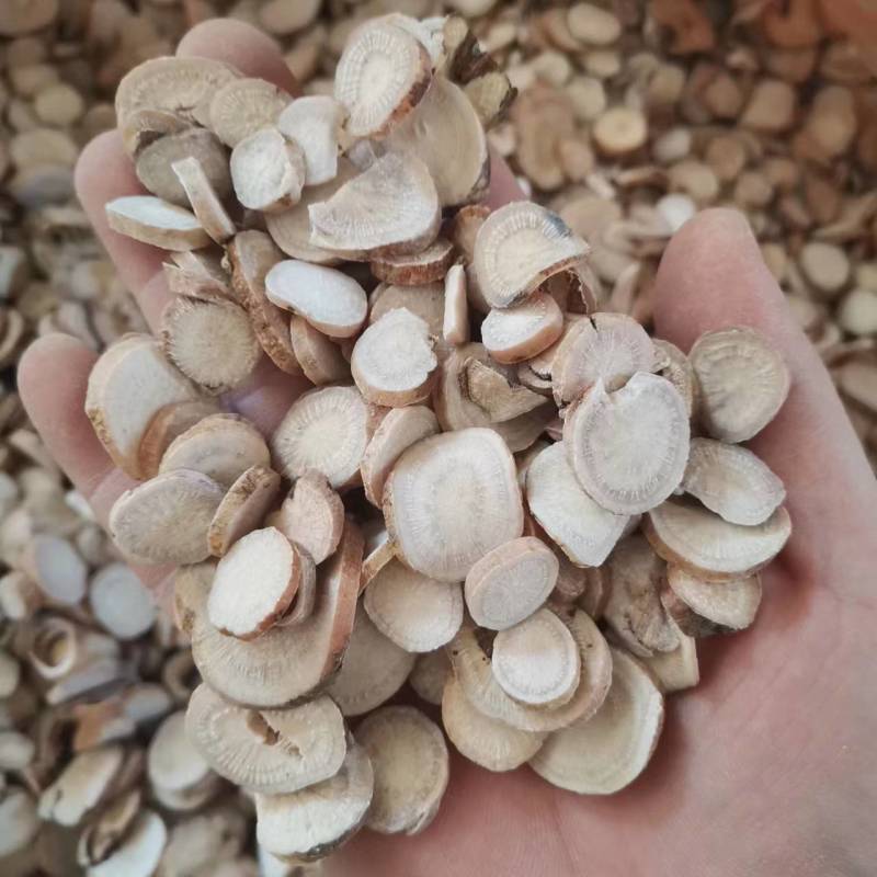 白芷，白芷规格齐全，现货供应，中药材批发，量大从优