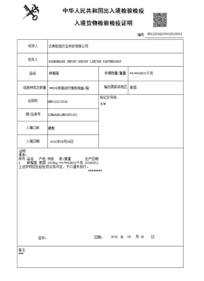 金枕榴莲一手货源批发，a果保5房，坏果包赔，货到付款