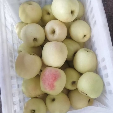 奶油苹果，