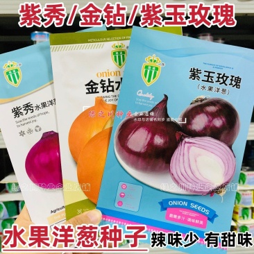 水果洋葱种子大全黄皮圆葱种子紫皮洋葱籽紫红皮洋葱种籽甜脆