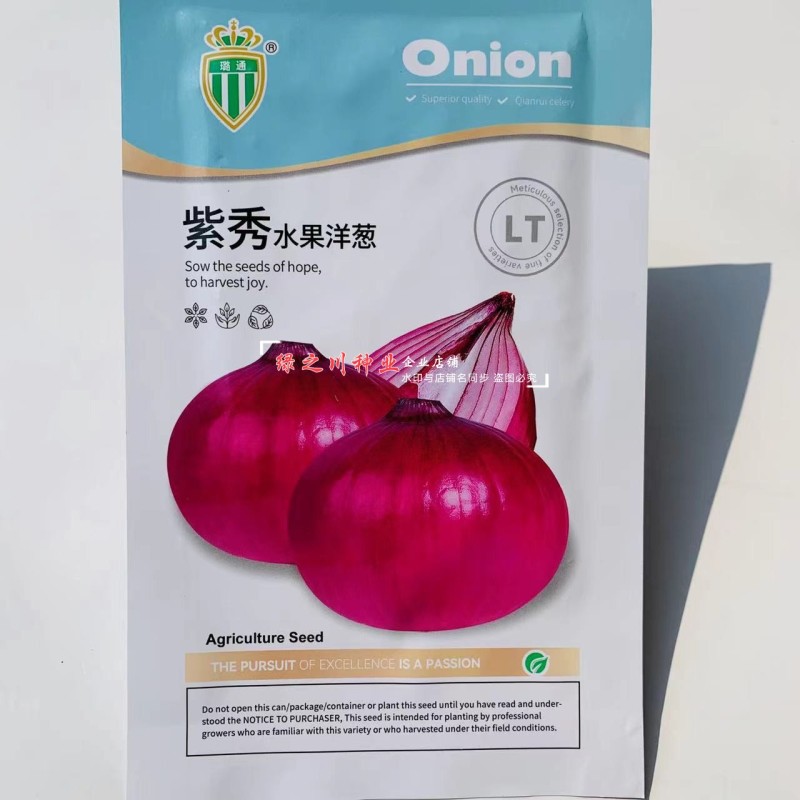 水果洋葱种子大全黄皮圆葱种子紫皮洋葱籽紫红皮洋葱种籽甜脆