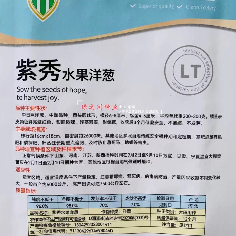 水果洋葱种子大全黄皮圆葱种子紫皮洋葱籽紫红皮洋葱种籽甜脆