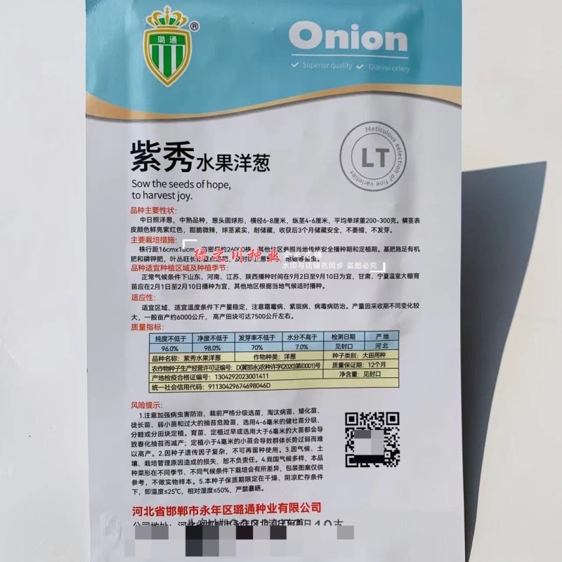 水果洋葱种子大全黄皮圆葱种子紫皮洋葱籽紫红皮洋葱种籽甜脆