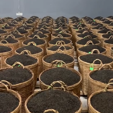 六堡茶黑茶