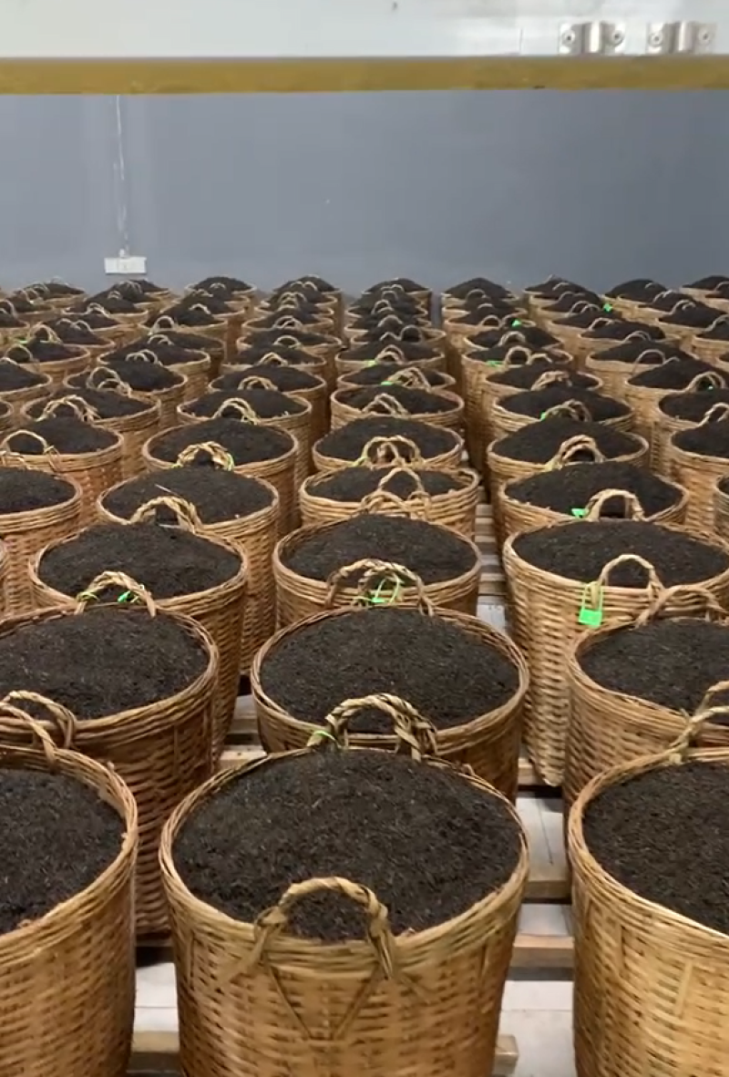六堡茶黑茶