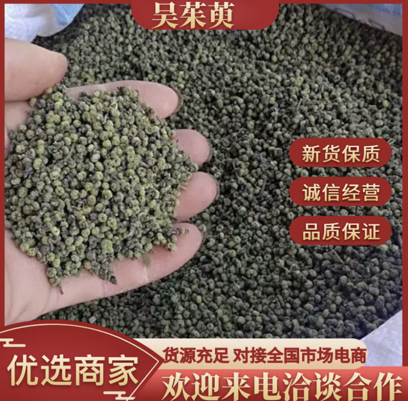 吴茱萸~江西中花-干货颜色好看今年新货品质好价格优！