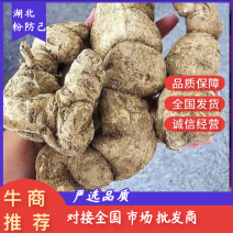 防己~野生粉防己干货-含药量高-长年供应，质量保证