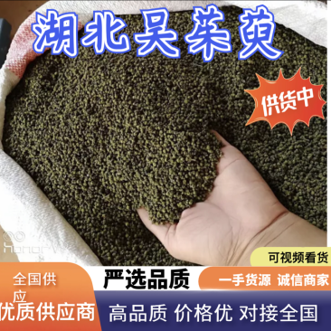 吴茱萸~湖北大花颜色好今年新货品质保障欢迎咨询！