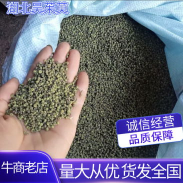 吴茱萸~湖北小花~今年新货颜色好保质保量欢迎咨询！