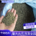 吴茱萸~湖北小花~今年新货颜色好保质保量欢迎咨询！