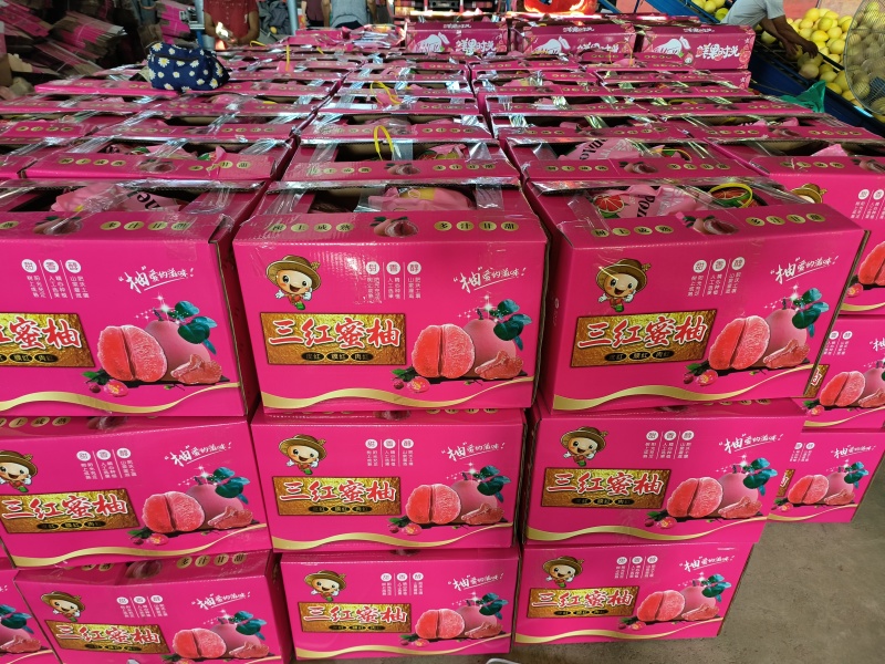 广东梅州三红蜜柚梅县三红柚量大从优基地直供现货采摘