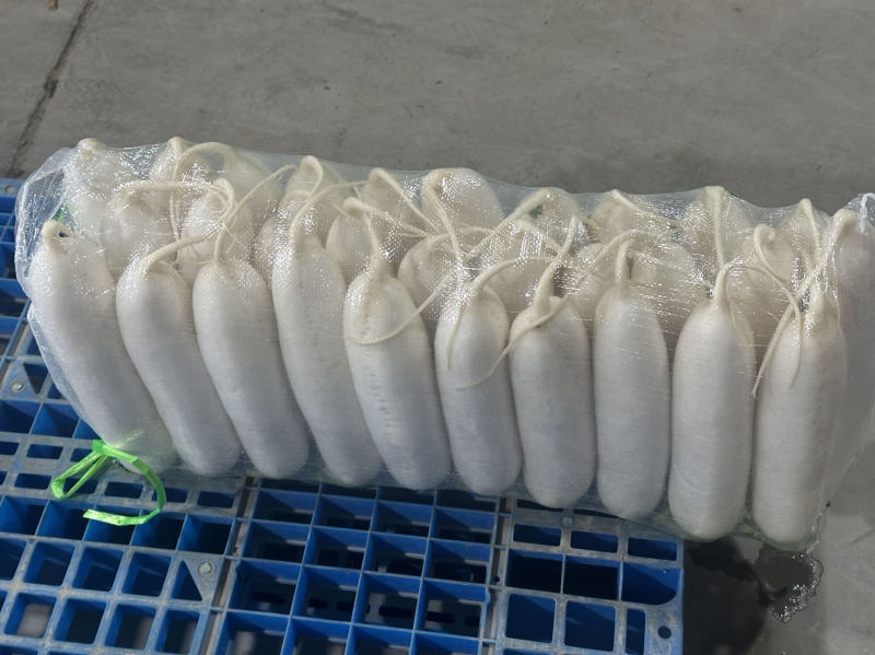 全球萝卜看中国，中国萝卜看榆林，精品陕西榆林货