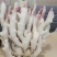 生姜产地常年供应