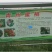 代办代发离核二老板蜜桃青州蜜桃清香蜜适宜电商零售批发