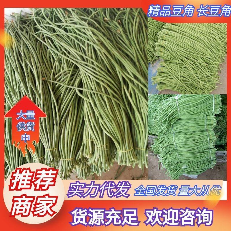 长豆角60厘米起，青条豆角保质保量，欢迎新老顾客来选购，