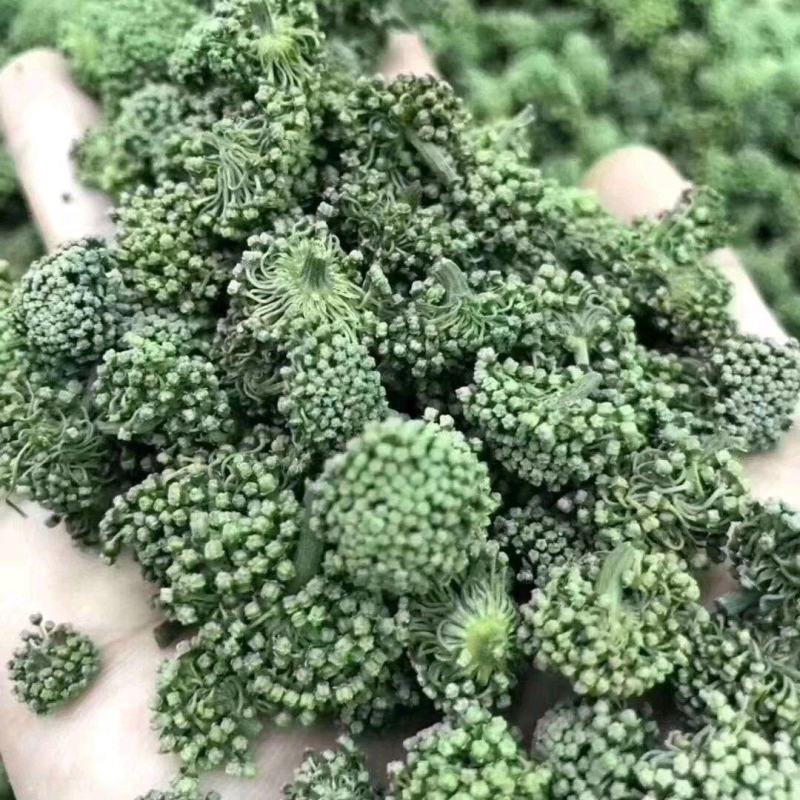 三七花选货绿花一斤起包邮量大从优