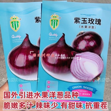 紫玉玫瑰水果洋葱种子甜脆微辣紫红色洋葱种籽抗重茬耐寒洋葱