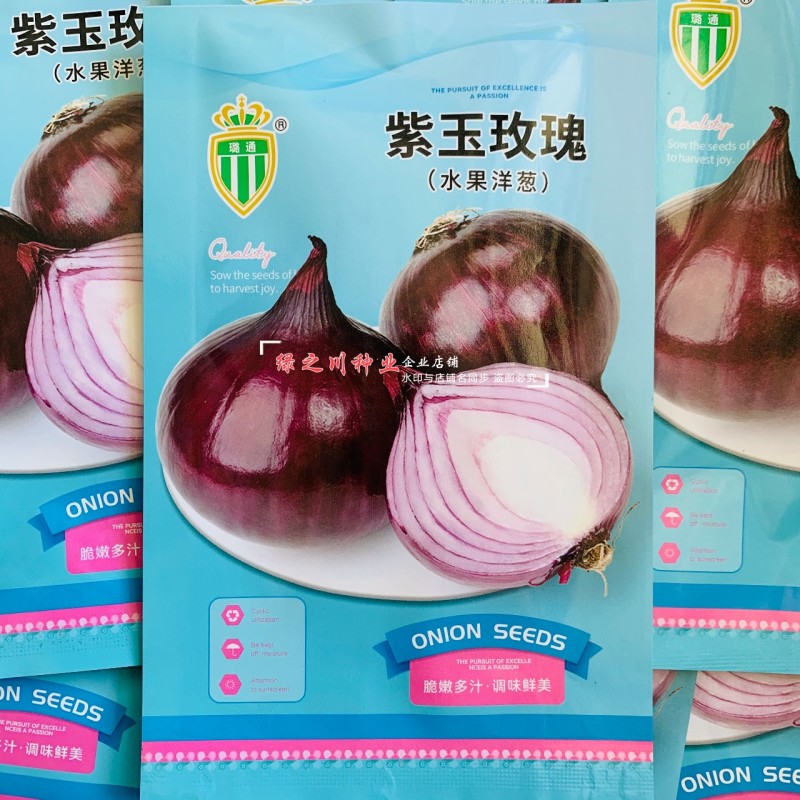 紫玉玫瑰水果洋葱种子甜脆微辣紫红色洋葱种籽抗重茬耐寒洋葱